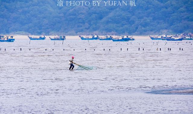 海陵岛红树林赶海攻略，海陵岛不只有碧海银沙