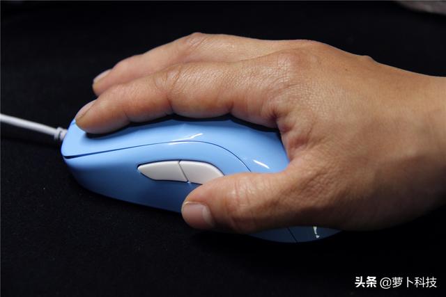 divina跳蚤防治，吡虫啉灭跳蚤（职业FPS选手标配）