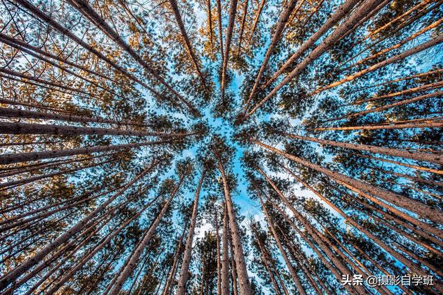 冲击力计算公式，重力加速度的测量（咋提高摄影作品冲击力）