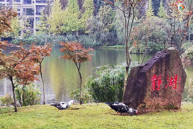 重庆理工大学怎么样，排名好不好（重理工4大校园地标）