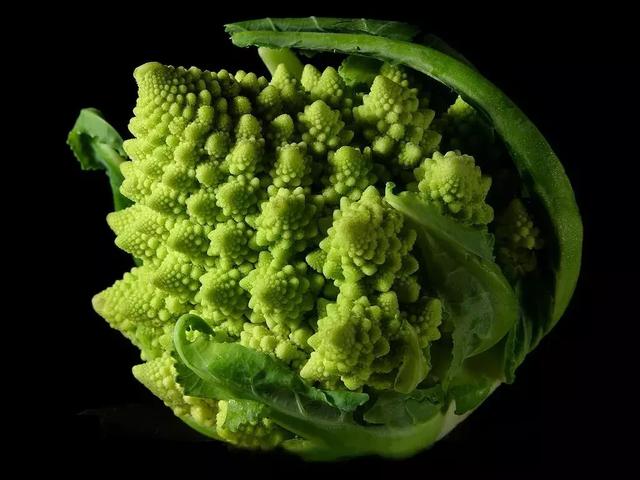 飞蛾为什么要扑火，飞蛾为什么扑火（真正原因可能只有飞蛾自己知道）