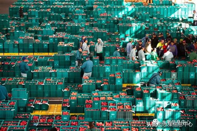果蜜是什么，柠檬果蜜是什么（走进日本苹果第一大县“青森县”）