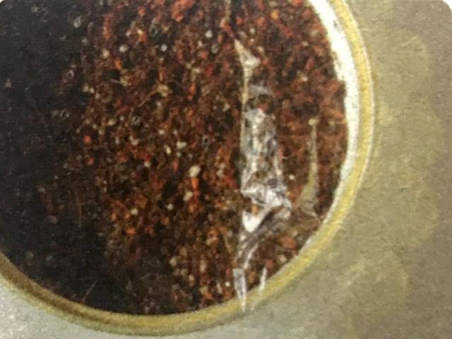 地不容的繁殖方法，地不容的繁殖栽培（试试哪一种方法更容易成功栽种在阳台上）