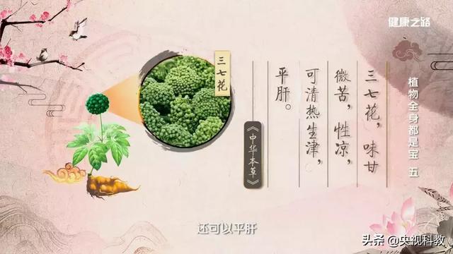 生吃三七粉的功效，生三七粉的功效与作用及正确吃法（换种用法止血、化瘀、还美容）