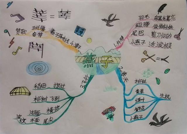 小学生思维导图简单画法，思维导图简单画法（学会运用“思维导图”）