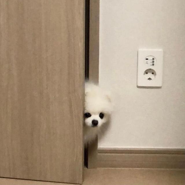 超赞的朋友圈背景图 背景图 月亮和星星会不会互道心事,超赞的朋友圈背景图怎么弄(好看的朋友圈背景图) 超赞的朋友圈背景图 背景图 月亮和星星会不会互道心事,超赞的朋友圈背景图怎么弄(好看的朋友圈背景图)