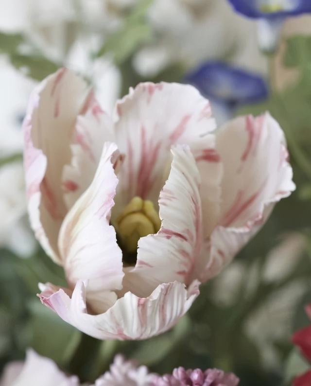 香皂花是什么材质做的，肥皂花是什么材料的（最适合懒人养的花）