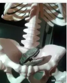 经痛是什么，肋间神经痛是什么（姨妈疼究竟是一种什么样的痛）