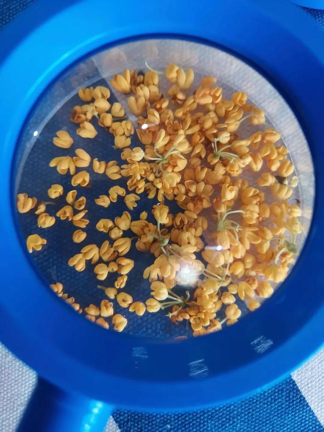 关于桂花的资料，桂花的资料（满园飘逸桂花香）