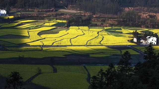 宏村在哪里，安徽宏村在哪里（宏村、西递等旅游景区恢复开放）