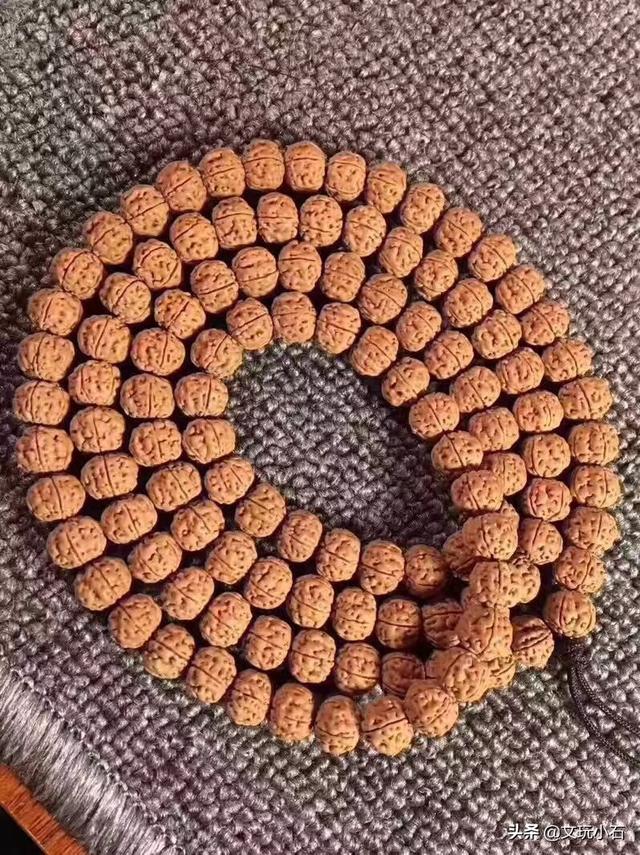 金刚菩提怎么变红，金刚菩提变红原理（怎么才能盘出牛津红）