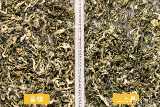 碧螺春品牌排行榜，碧螺春十大名牌（两大顶级碧螺春品牌PK）