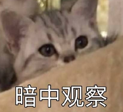 干巴爹是什么意思，米娜桑干巴爹是什么意思（如今又被中国玩家玩坏了）