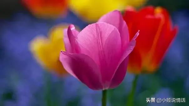 一个男人爱你会碰你吗，男生喜欢到极致才会舍不得碰（男人常碰你这三个地方）