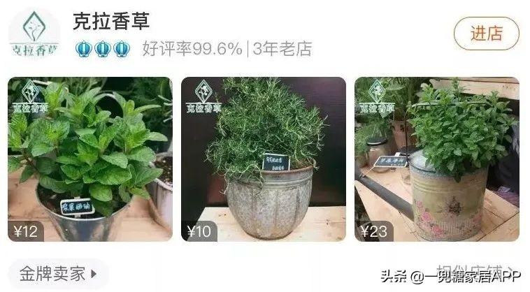 淘宝网花店(淘宝商城花卉市场)