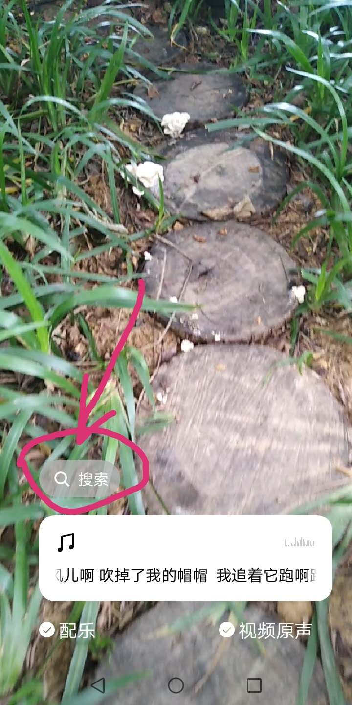 朋友圈怎么发音乐(微信朋友圈音乐怎么加)