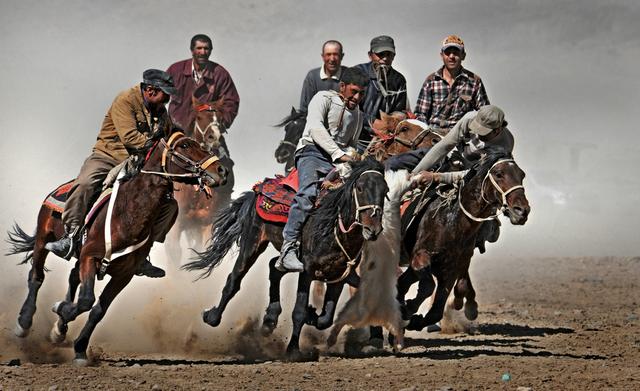 用马字组词有什么，马字组词还有什么（拍马“留序”摄影浅谈）