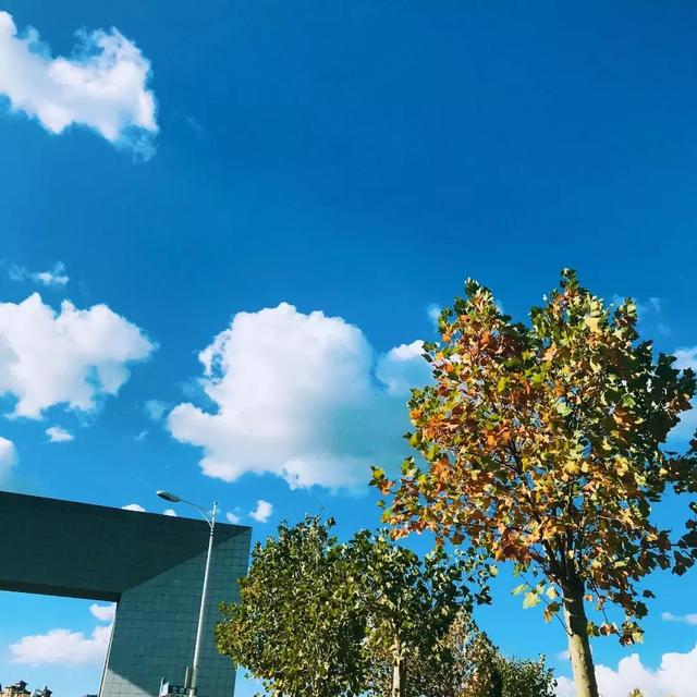 大连财经学院学费，2021年大连财经学院录取通知书查询入口_什么时候收到及发放时间（<八>大连财经学院）