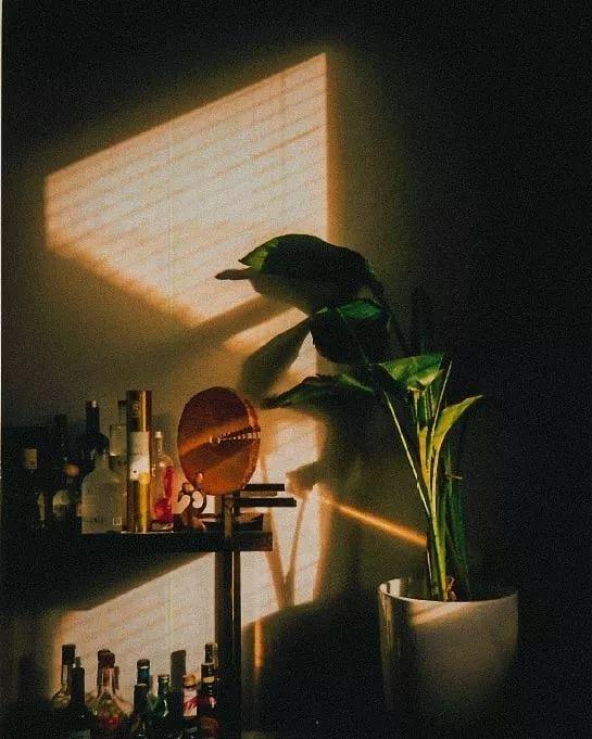 摄影如何打光，摄影怎么打光（摄影这么运用光线，美丽翻倍）