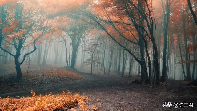 电脑好看的壁纸，10个最佳电脑壁纸（这56张绝美风景）