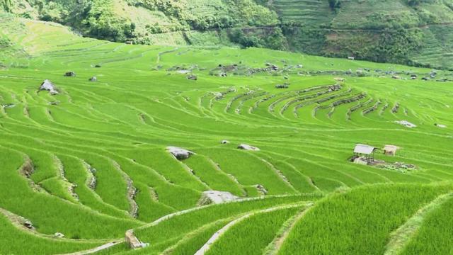 哈尼是什么意思，哈尼是什么意思在中国（哈尼族祈祷风调雨顺的这个民间习俗）