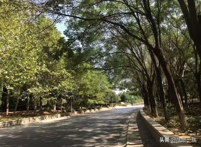 浮沱河在什么地方，滹沱河游玩攻略（——石家庄的母亲河）