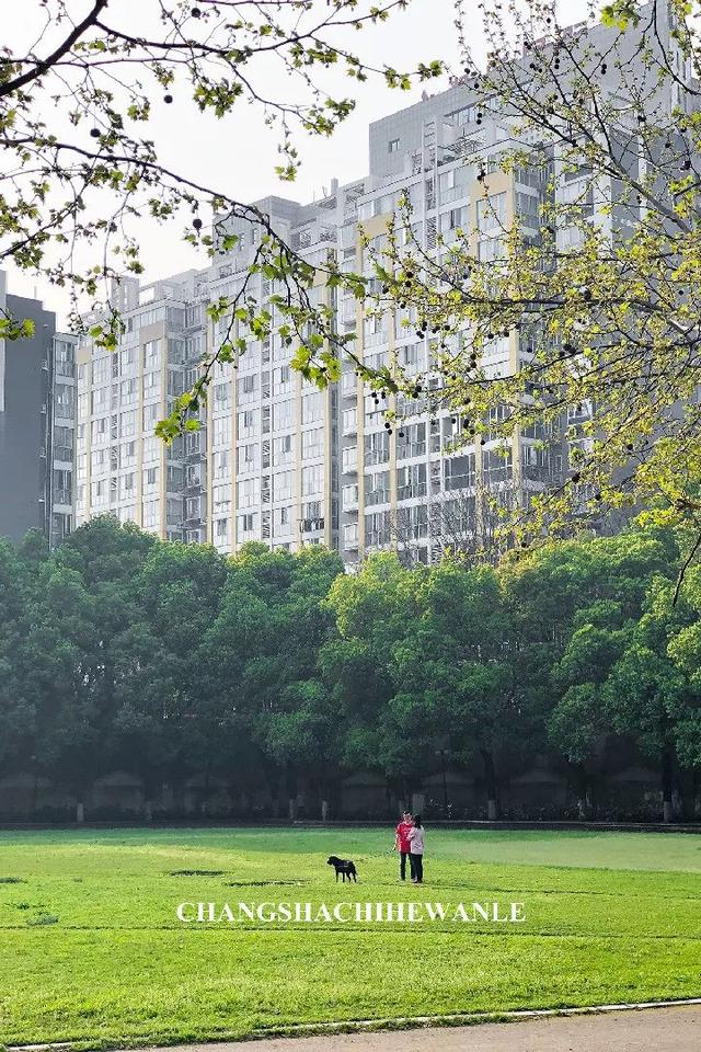 长沙铁道学院地址，长沙铁道学院照片（铁道学院，永不永不说再见！）