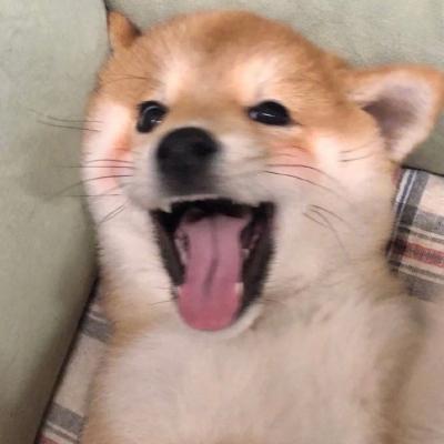 侧脸杀女头~，微信头像，侧脸杀女头~（搞怪头像单人女头）