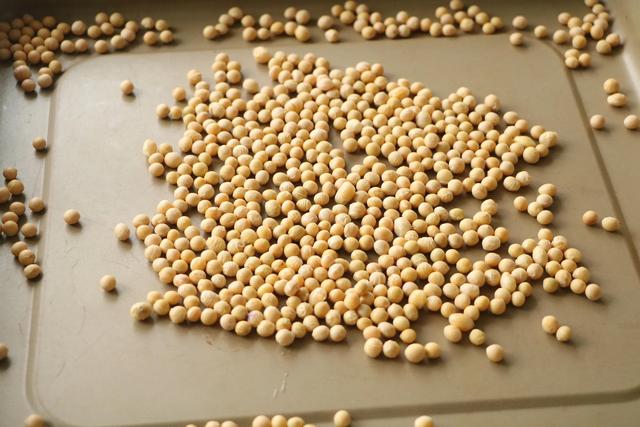 汤圆太好吃了买了好多次不甜不腻，汤圆别直接煮着吃了