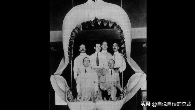 十大怪异鲨鱼，10000米长的蜈蚣（背后隐藏着一个人类起源的故事）