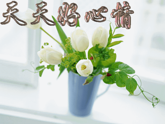 秘书节祝福语，部长祝福语简短（愿你这天好情绪）