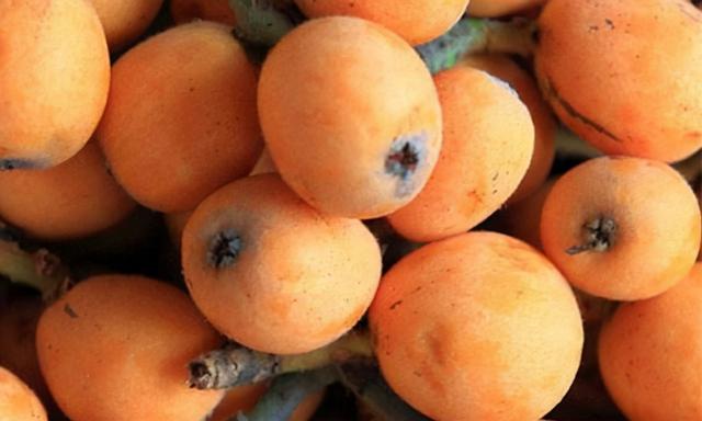 漳州有什么好吃的可以带的特产，漳州有什么好吃的可以带的特产零食（福建漳州十大特产有哪些）