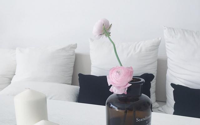 悟性高有灵气人的特点，悟性高有灵气人的女人八字（一点就通的星座）