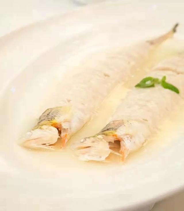 葱烧海参三种家常做法分享，葱烧海参的做法最正宗的做法（国家葱油地理：葱油）