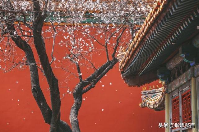 结婚的诗词十首，女子出嫁诗精选十首