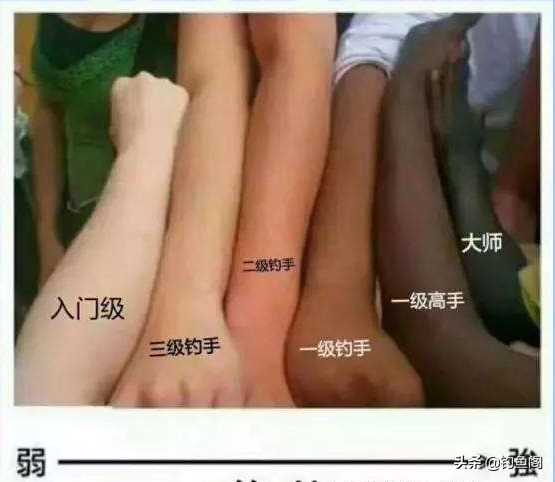 为什么多数伞黑胶在外，黑胶伞一定是黑色的吗（还被晒成了“煤炭”）
