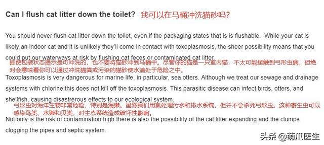 猫砂属于什么垃圾，猫砂盆是属于什么垃圾（垃圾分类马上要推广到全国了）