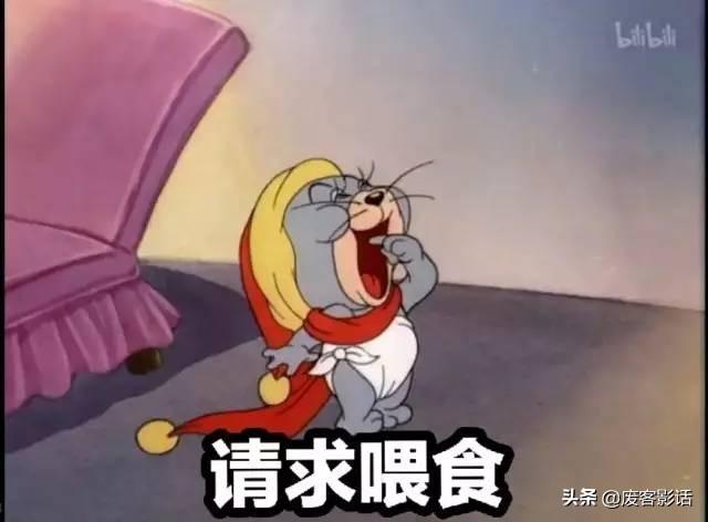 猫和老鼠,汤姆和杰瑞,猫和老鼠全集免费(汤姆和杰瑞原来有这种关系