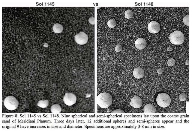 硅基生物是什么，硅基生物需要呼吸吗（科学家称火星上长蘑菇）