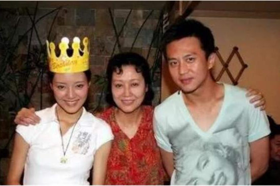 车晓的电视剧全部，车晓的电视剧全部排行榜（因前夫破产豪门往事再被提）