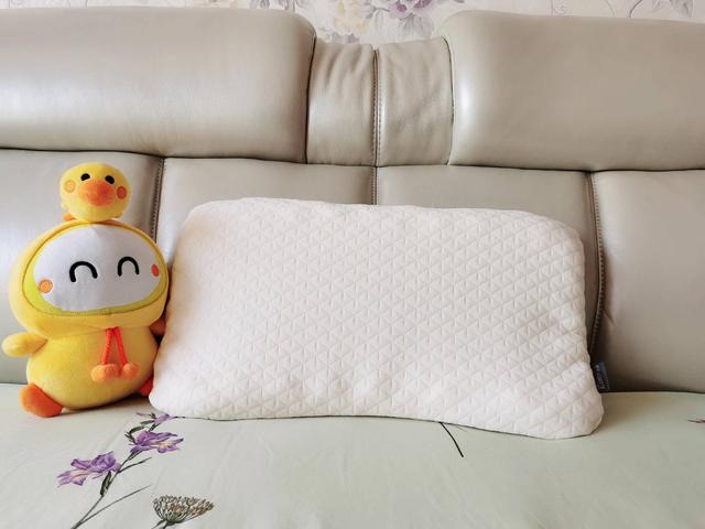 哪些是硅胶，硅胶有哪些用途什么是硅胶（提升优质睡眠的好伙伴）