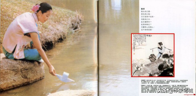 昨夜小楼又东风歌词，昨夜小楼又东风歌词评价（邓丽君《淡淡幽情》但愿人长久）