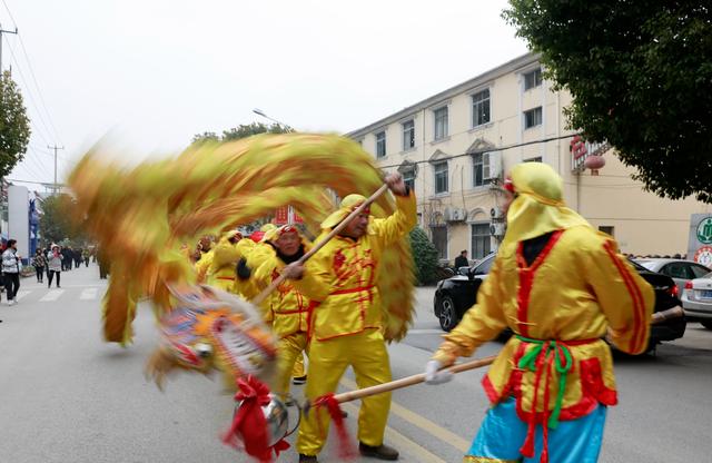 海安俗称铜头的是什么鱼，海铜鱼是什么鱼图片（第九届里下河捕鱼节开幕式）
