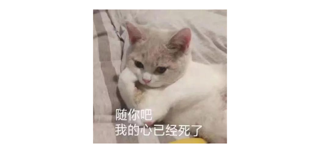 QQ邮箱已发送的邮件如何撤回，qq邮箱里发送的邮件怎么撤回（来看看还有哪些隐藏功能）