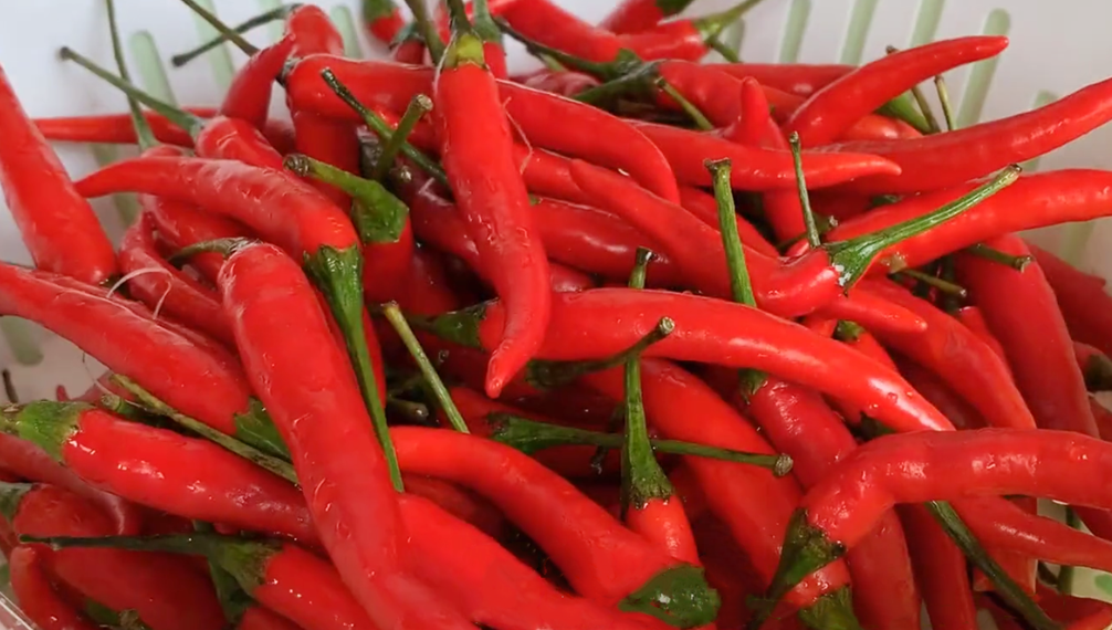 圖片[2]-【辣椒醬】做法步驟圖 越辣越想吃 配米飯或者饅頭特香-起舞食譜網(wǎng)
