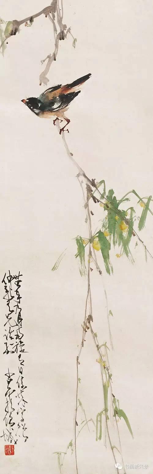 花鸟草虫大全，赵少昂花鸟草虫精选66幅