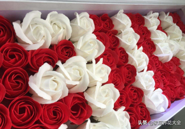 玫瑰花怎么保存，鲜花如何保存（花店御用保鲜秘籍）