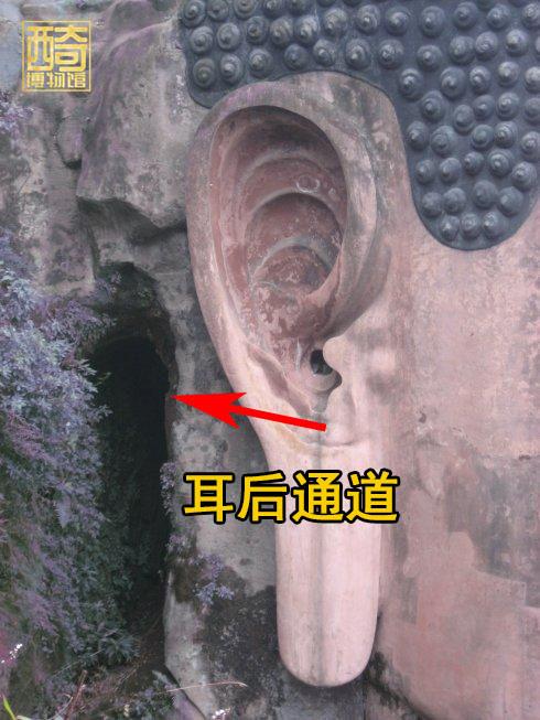 乐山大佛三江汇合是哪三江，乐山三江交汇是哪三江（修缮乐山大佛时发现胸口和耳后暗室）