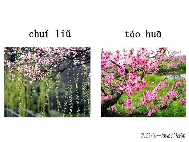 拼音iu怎么读，部编版一年级上册汉语拼音10《ɑo