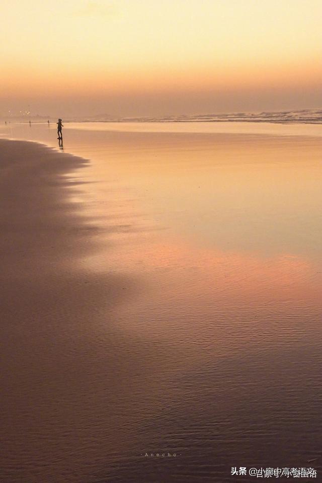 愿伯具言臣之不敢倍德也翻译，愿伯具言,臣之不敢倍德也翻译（120个文言实词汇编：第一辑）